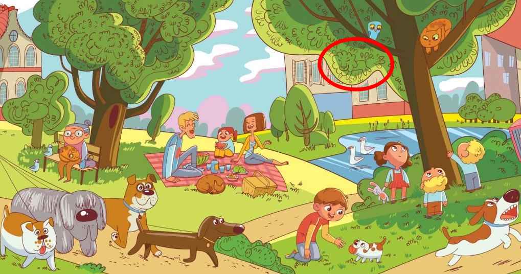 Aceasta este o sarcină pe care doar câteva persoane o pot îndeplini: trebuie să găsiți leul din parc în 6 secunde