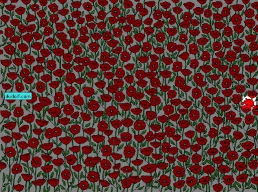 Doar cei super atenți vor găsi crabul din imagine: testează-ți IQ-ul în 25 de secunde