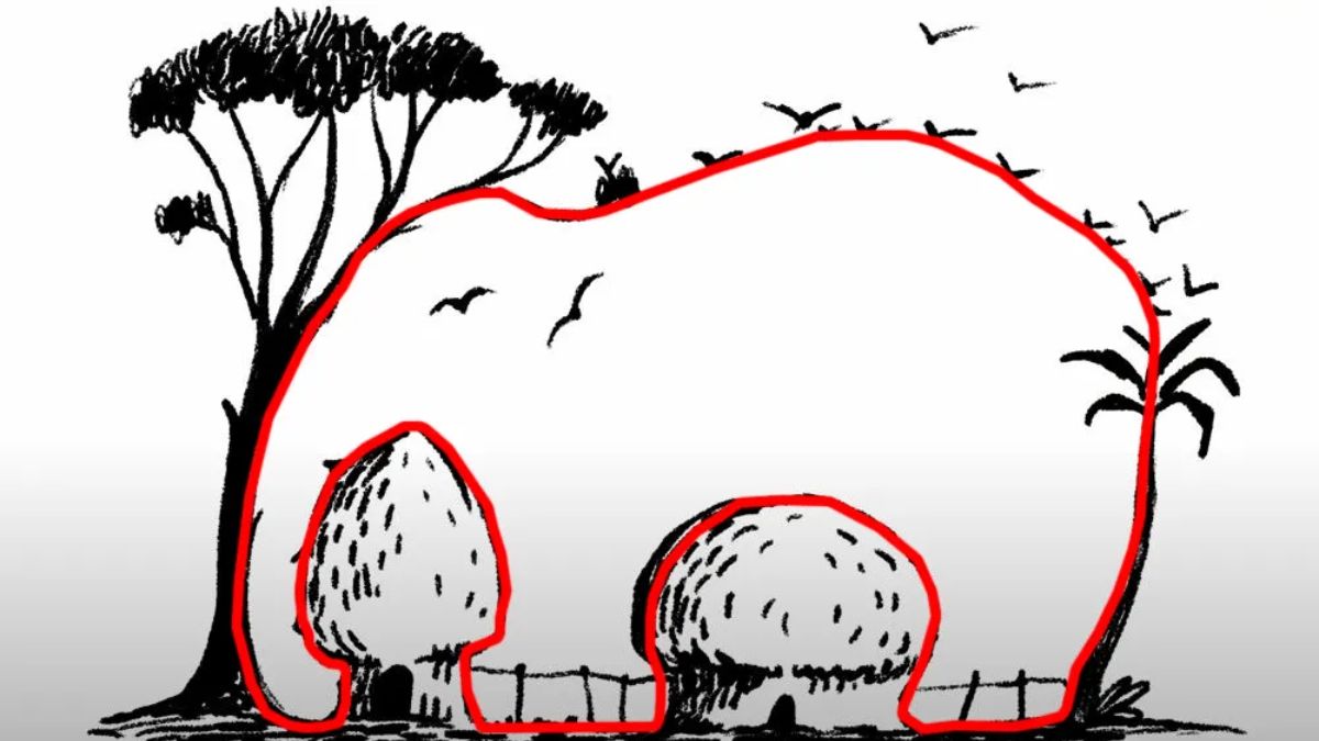 Soluția la iluzia optică