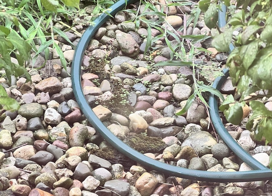 Iluzie optică: Găsiți broasca ascunsă