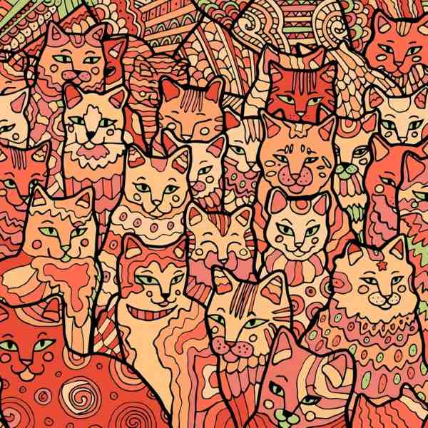 Iluzie optică pentru persoanele cu vedere de vultur: trebuie să găsești o stea printre pisici