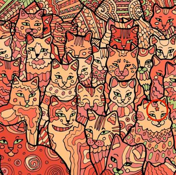 Iluzie optică pentru persoanele cu vedere de vultur: trebuie să găsiți o stea printre pisici