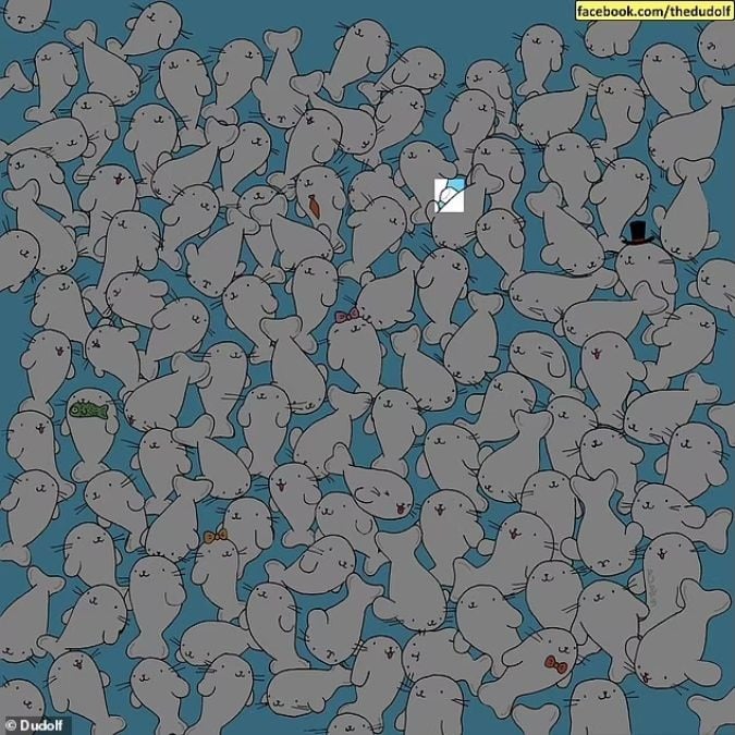 Un puzzle pentru persoanele cu vederea ascuțită: găsiți bezelele printre foci în 11 secunde