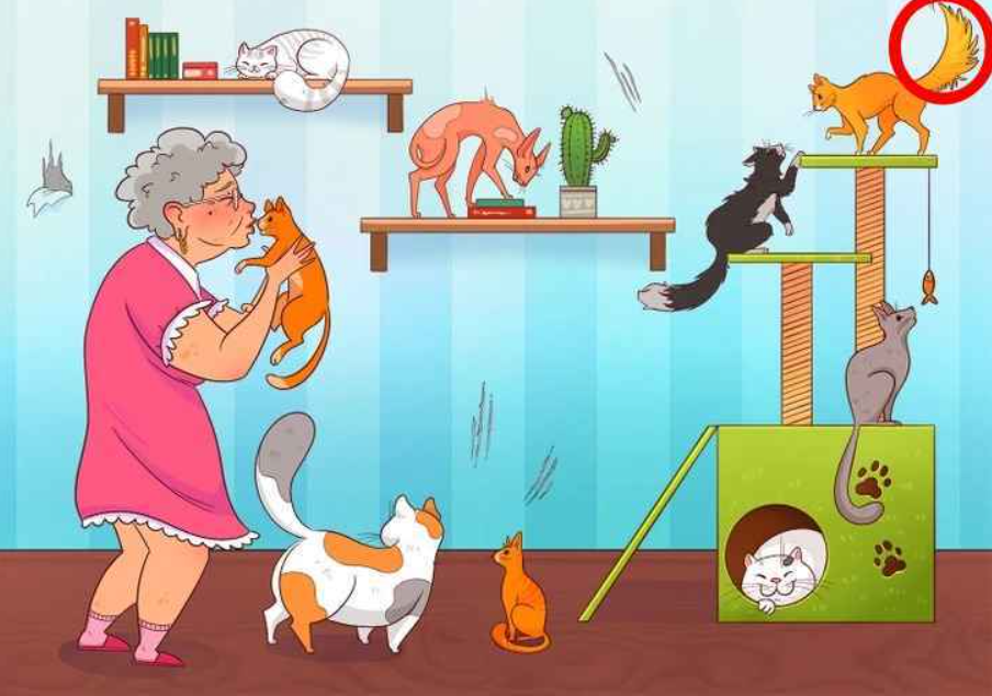 fotografie de Brightside