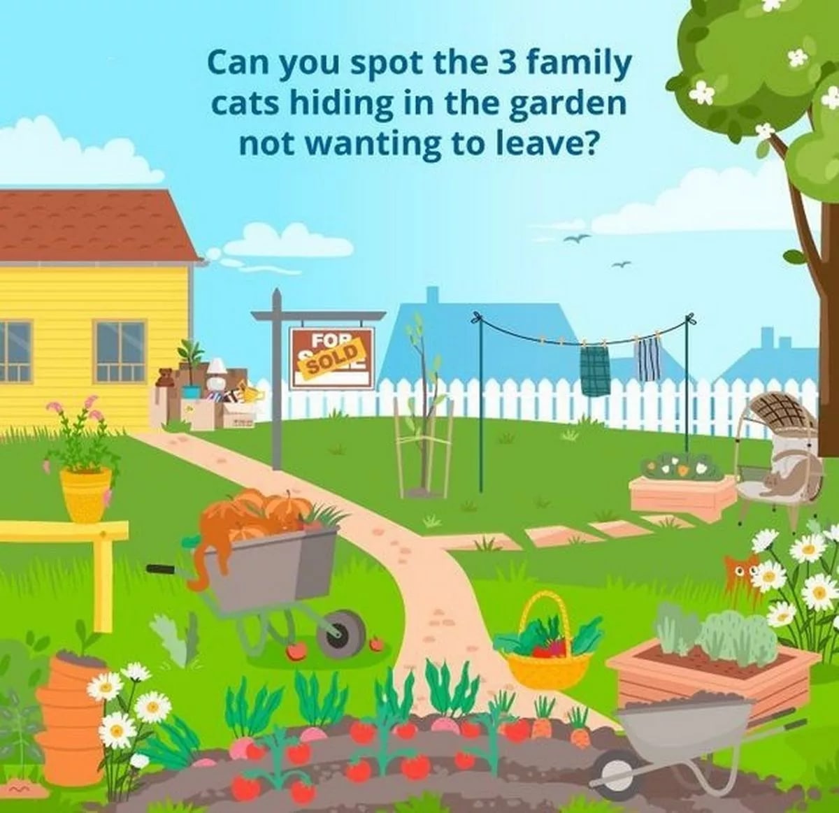 În această imagine se ascund trei pisici viclene