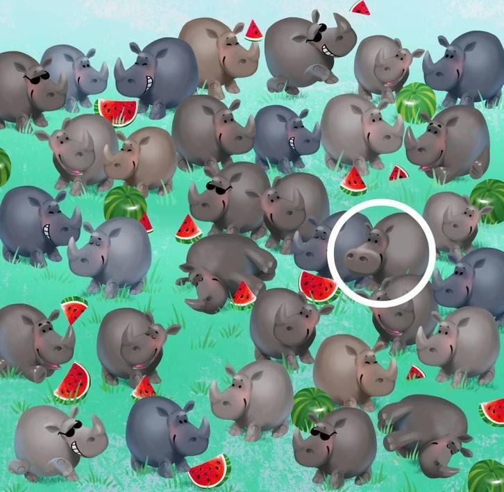 Răspuns / Bright Side