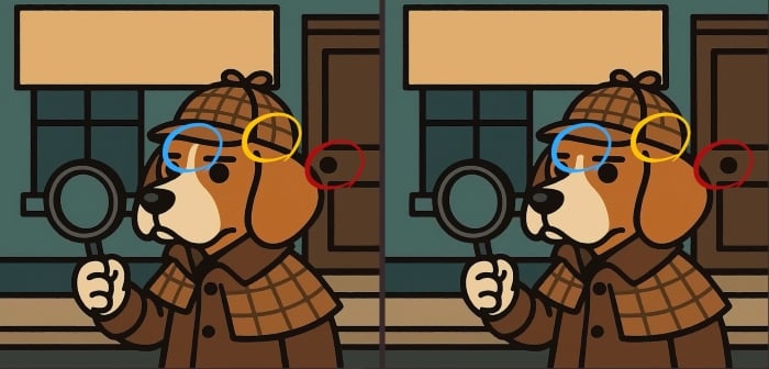 Soluția puzzle-ului 