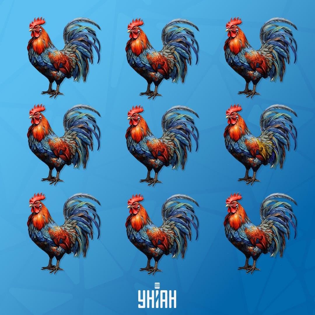 Încercați să nu faceți greșeli evidente atunci când îndepliniți sarcina / colaj Moje