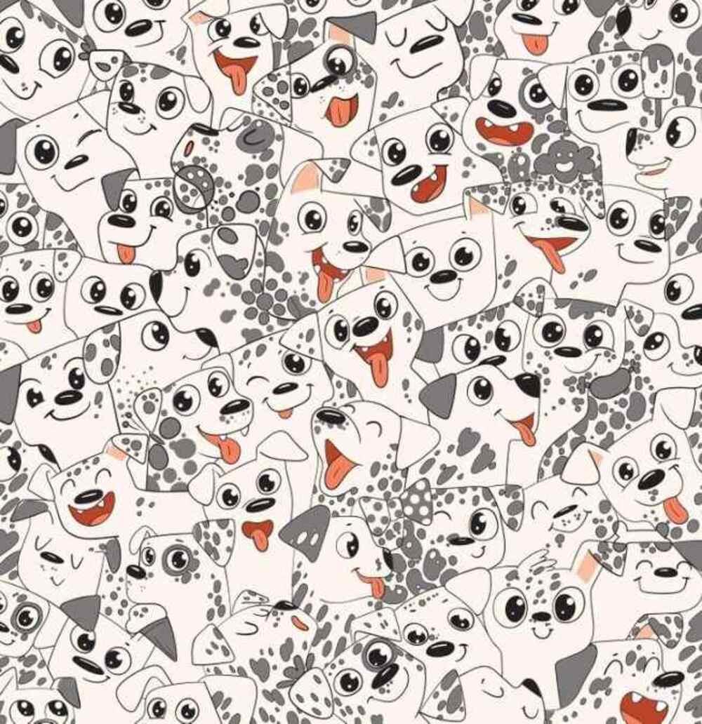 Încearcă să găsești un fluture cât mai repede posibil / Brightside drawing