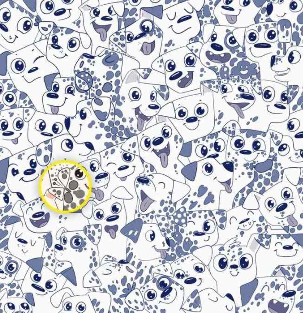 Fluturele era pe partea dreaptă / Desenul Brightside