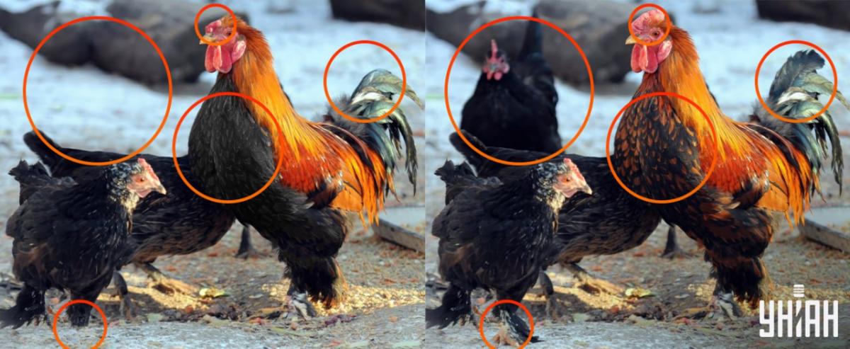 A fost necesar să acordăm atenție micilor detalii / colaj Moje