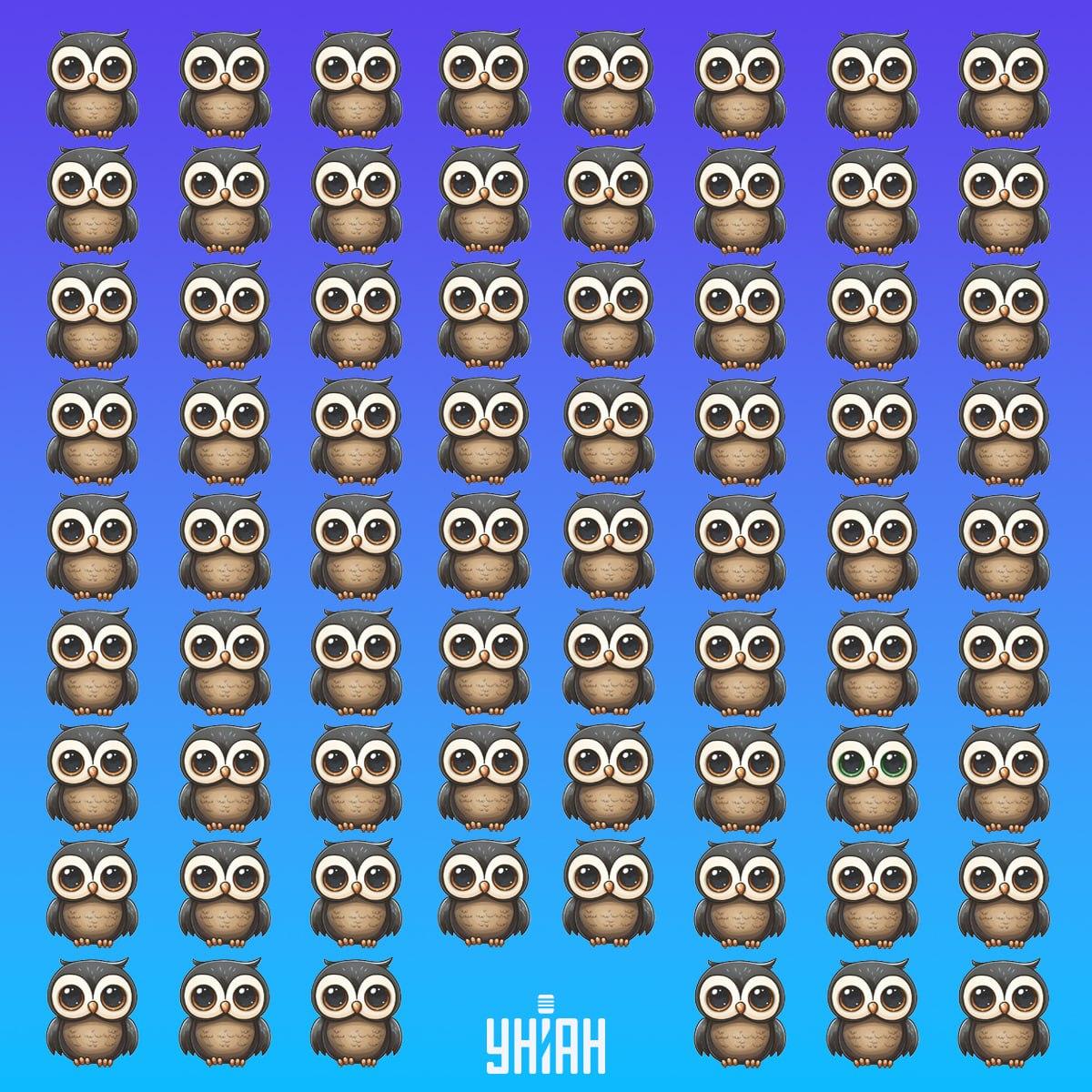 Găsiți o pasăre rară în timp / colaj Moje