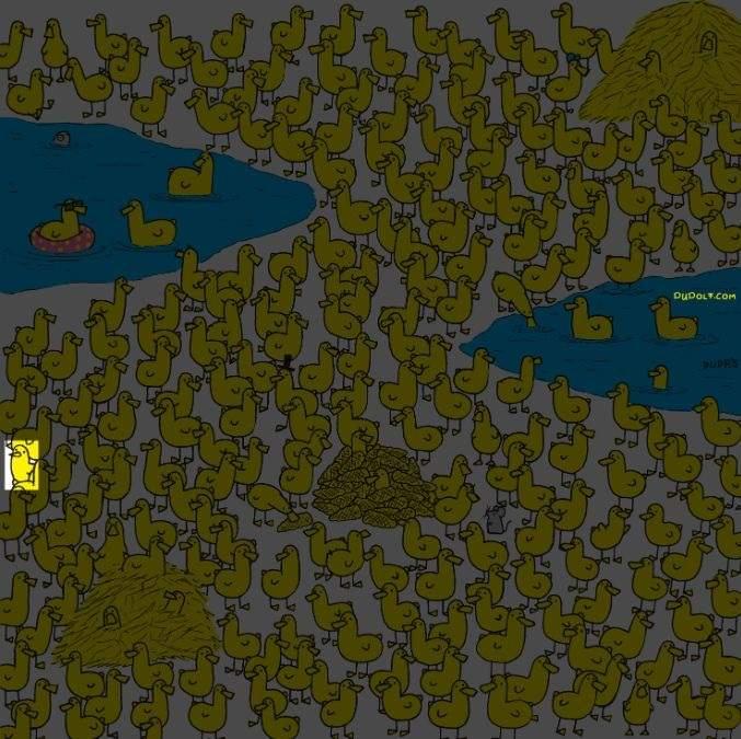 Doar cei mai deștepți vor găsi găina printre rățuște în 8 secunde: un nou puzzle / imagine de Gergely Dudas