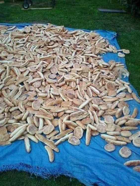 Iluzie optică pentru persoanele cu vedere de vultur: doar geniile găsesc pisica în 5 secunde