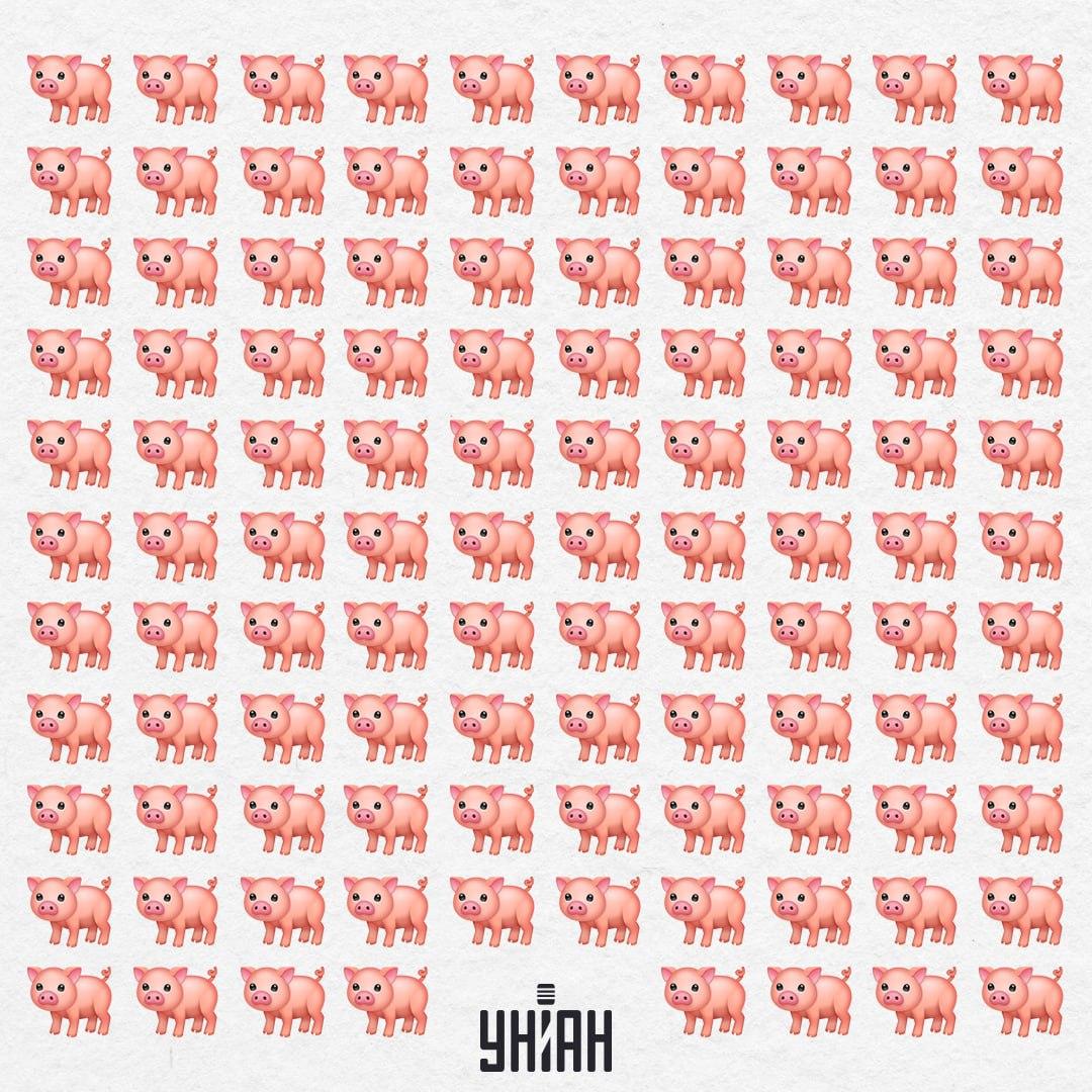 Porcul nostru este acolo undeva, nu ne va atrage atenția atât de ușor / Moje Collage