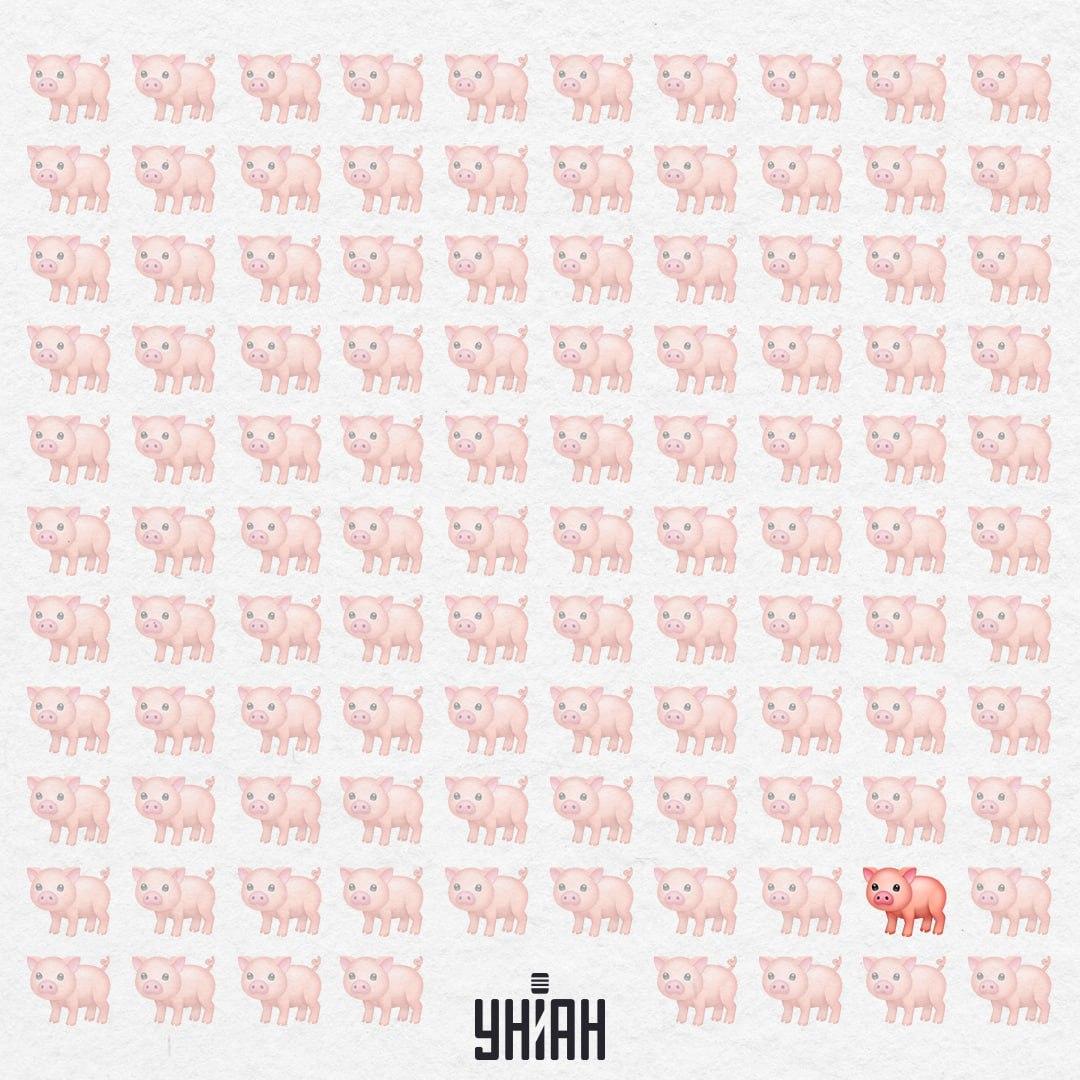 Acest purceluș este foarte ciudat, nu are coadă roz / Colaj Moje