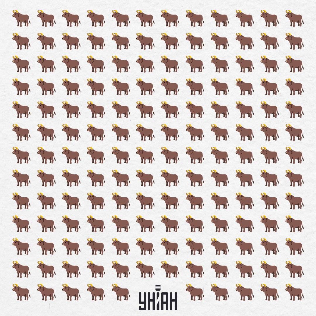 Există 154 de exemplare aici, dar unul nu este ca acesta - ar trebui să-l vedeți în 10 secunde / Moje Colaj