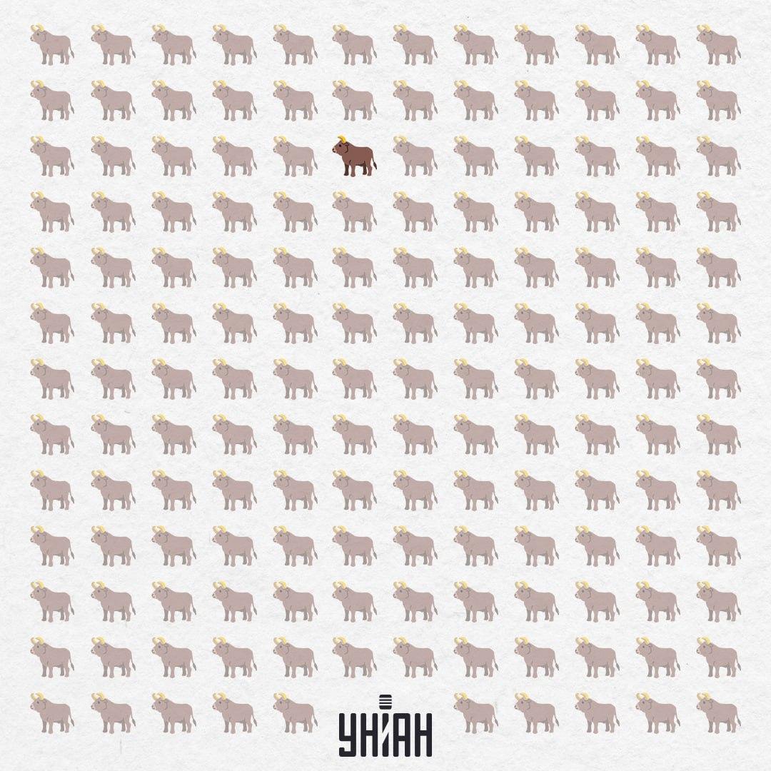 Era ascuns în centru, aproape de sus / Moje Collage