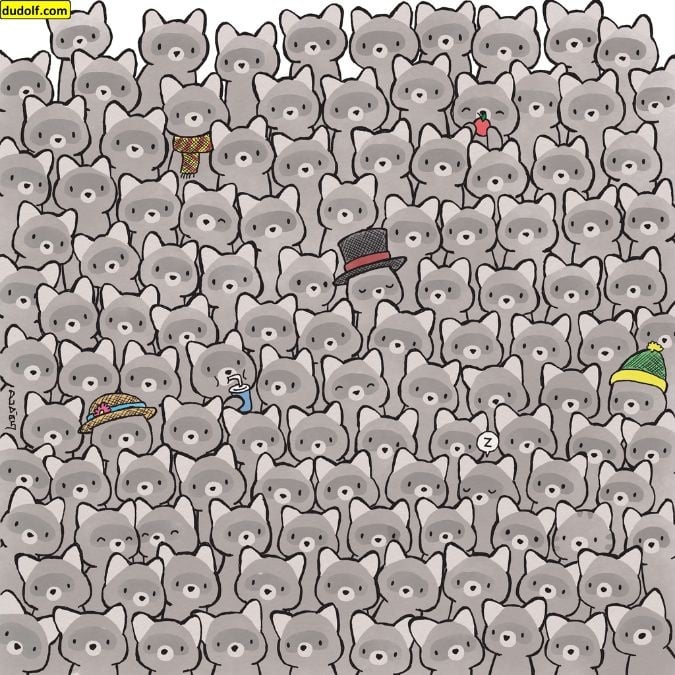 Un puzzle pentru adevărate genii: găsiți o pisică printre ratoni în 15 secunde