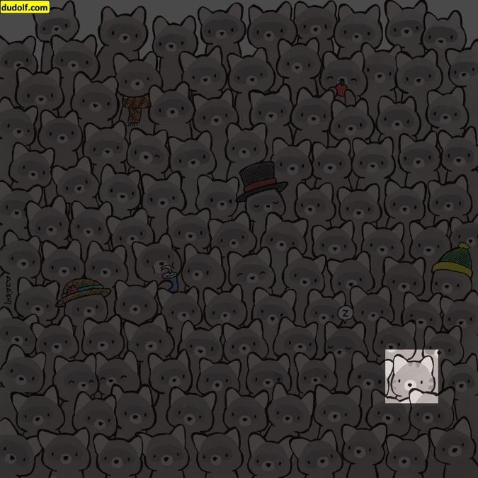 Un puzzle pentru adevărate genii: găsiți pisica printre ratoni în 15 secunde