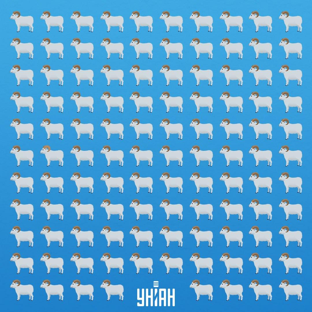 Există 7 secunde pentru a vedea animalul viclean / Moje Collage