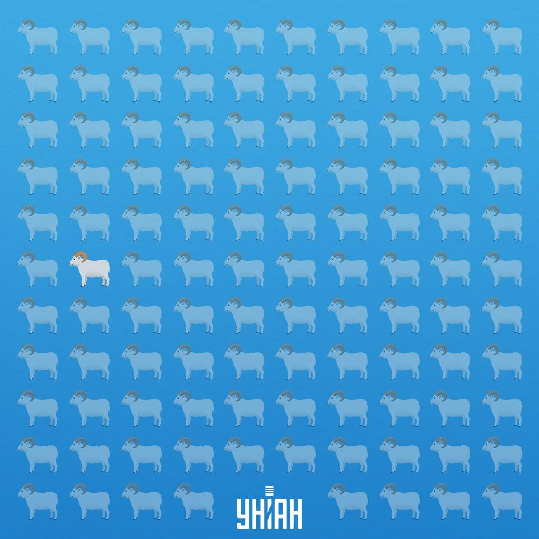 Era în al șaptelea rând din partea stângă / Moje Collage