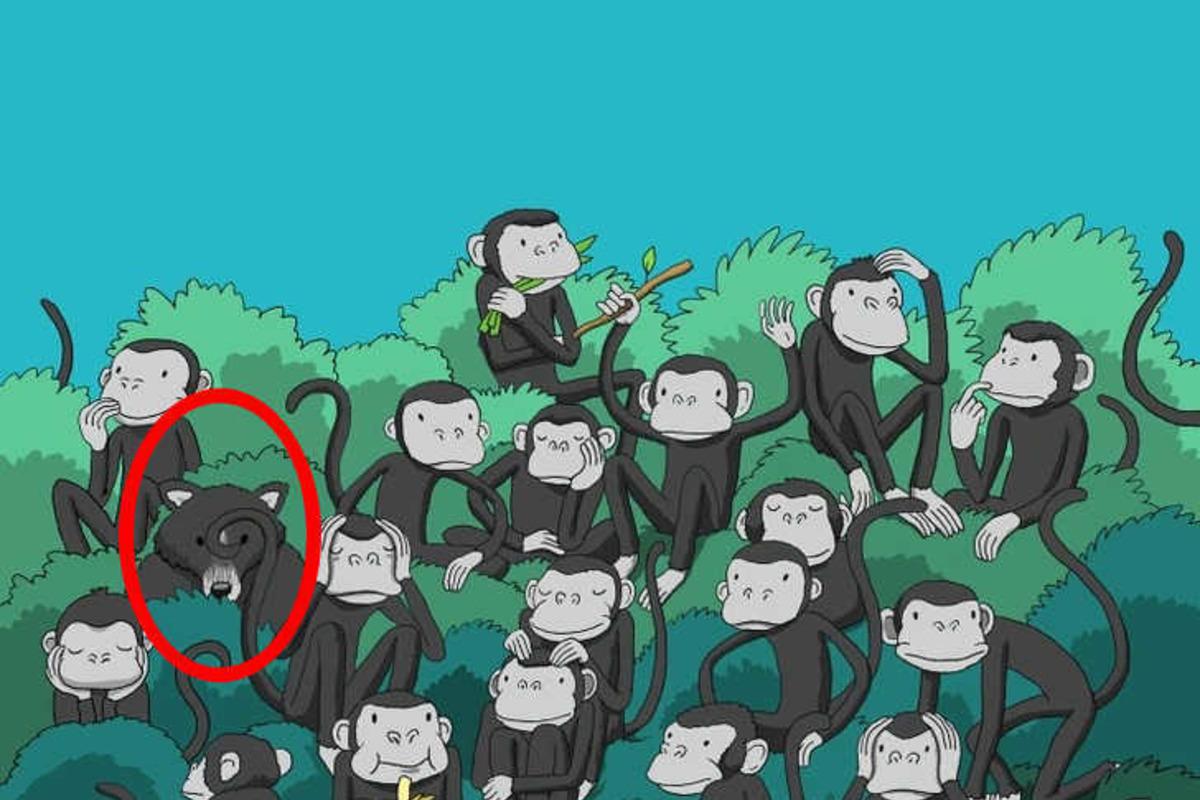 Încearcă să rezolvi puzzle-ul în câteva secunde / Bright Side drawing