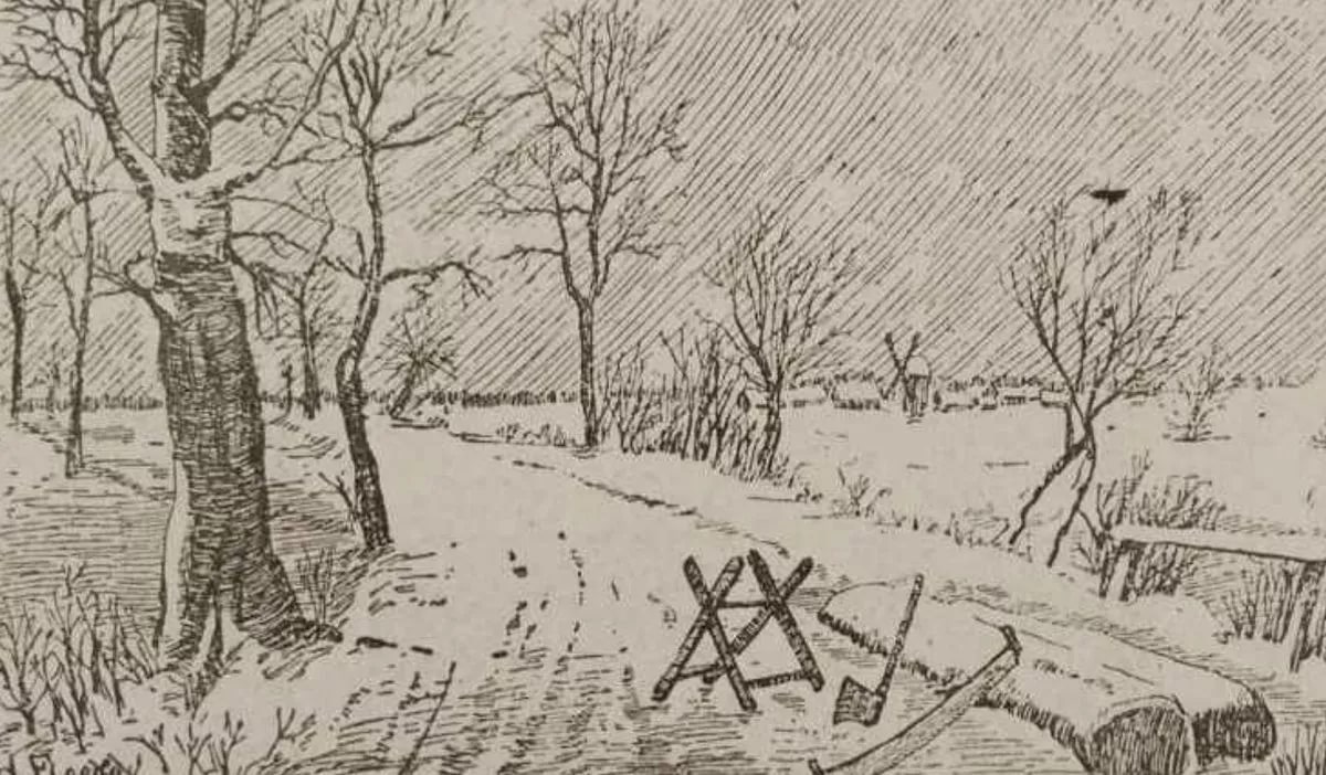 Poți să descoperi tăietorul de lemne?