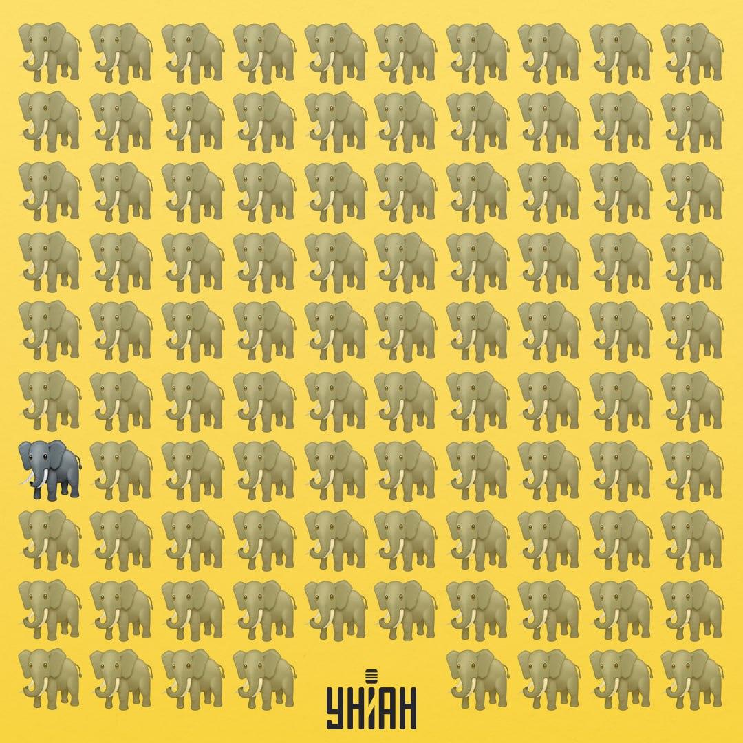 Unul dintre elefanți are o trompă diferită de a celorlalți / colaj Moje