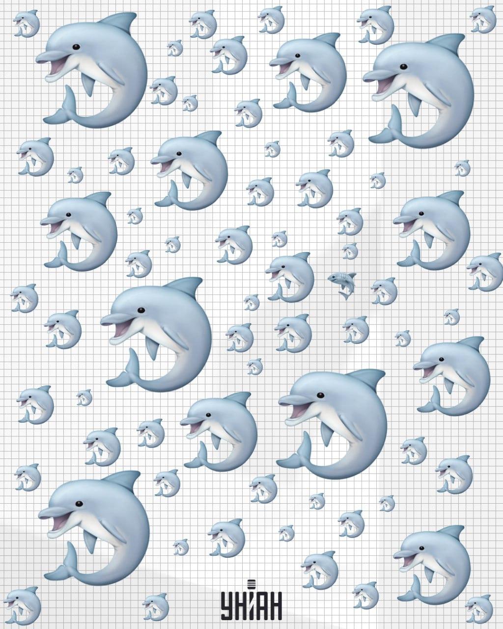 Este nevoie de mai puțin de 10 secunde pentru a găsi un rechin / colaj Moje