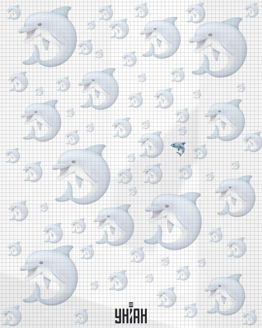 Rechinul era aproape de centrul imaginii / colaj Moje