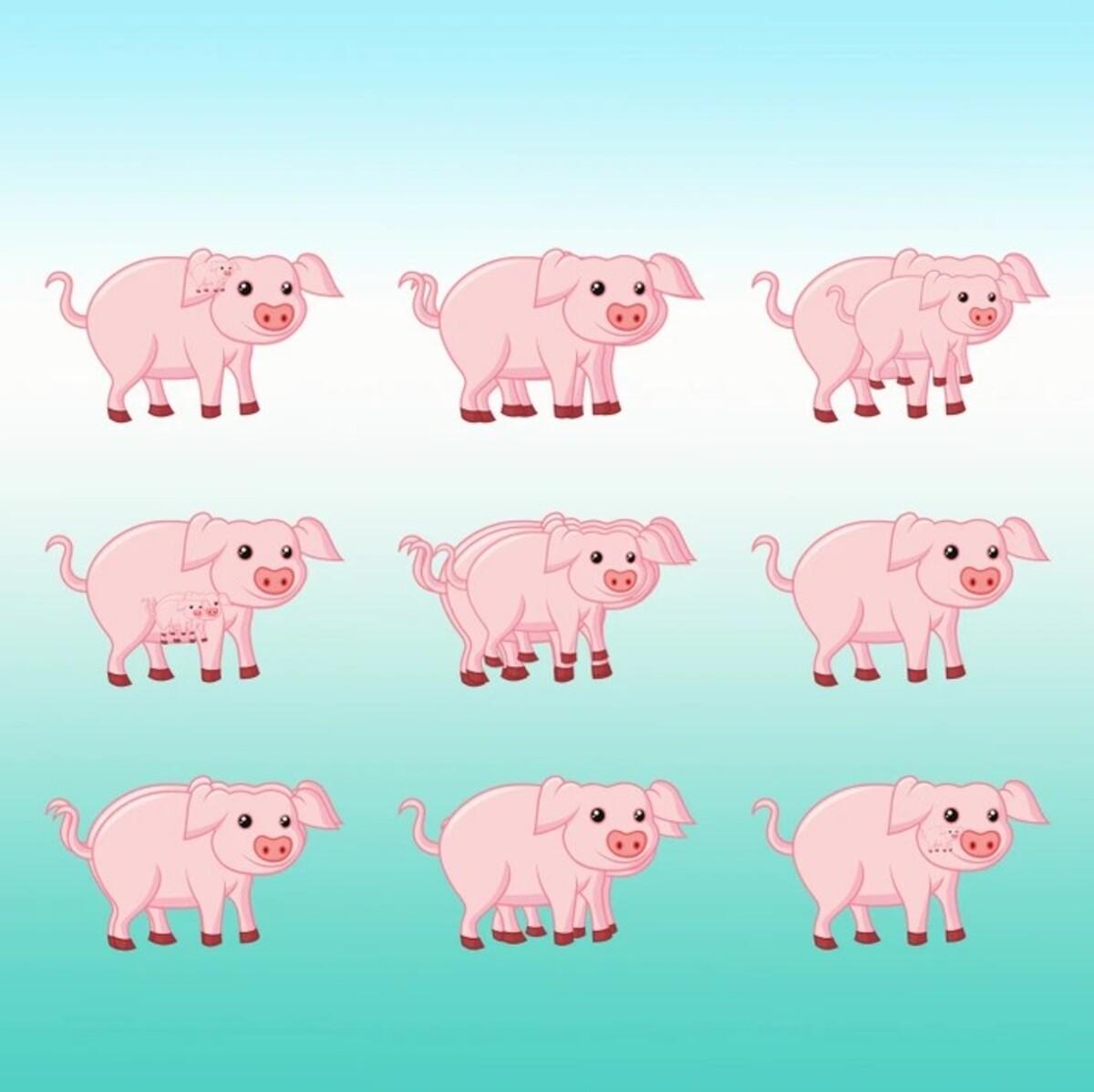 Dacă completați puzzle-ul rapid, aveți un IQ ridicat / Desenul Bright Side