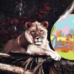 Aceasta este o sarcină pe care doar câțiva o pot face: trebuie să găsești un leu în parc în 6 secunde Aceasta este o sarcină pe care doar câțiva o pot