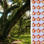 Doar 2% dintre genii vor găsi cuvântul "copac" în 10 secunde: un joc de puzzle uimitor Doar 2% dintre genii vor găsi cuvântul „copac” în 10