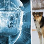 Doar 2% dintre oamenii foarte inteligenți vă vor arăta în 8 secunde care este problema cu o fotografie: un puzzle Doar 2% dintre oamenii foarte inteligenți vă vor arăta în