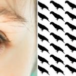 Doar 5% dintre oameni vor găsi papagalul din această iluzie optică în 10 secunde Doar 5% dintre oameni vor găsi papagalul din această iluzie