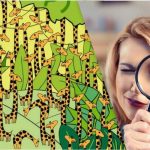 Doar persoanele cu IQ ridicat vor găsi un șarpe printre