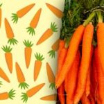 Doar persoanele cu "vedere de vultur" vor găsi morcovul "ciudat": un mister care vă va uimi Doar persoanele cu „vedere de vultur” vor găsi morcovul „ciudat”: