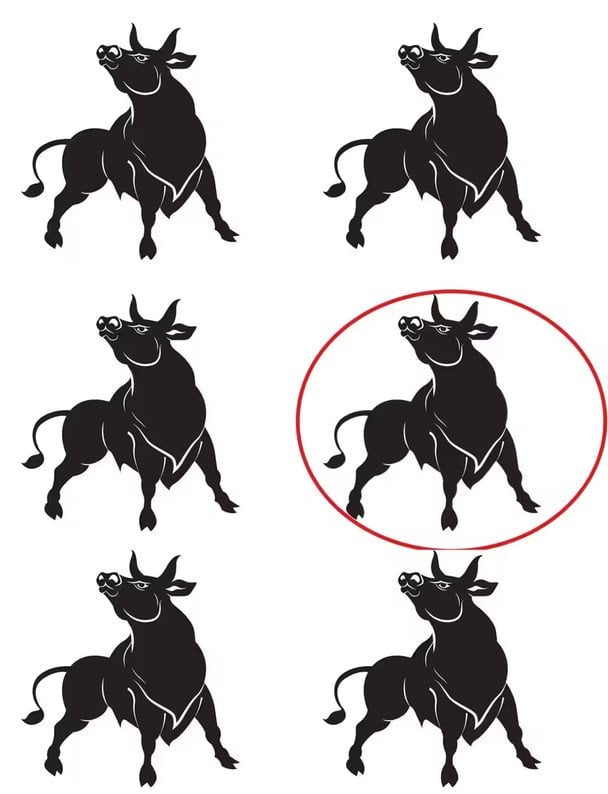 Puzzle de atenție interesant - rezolvarea lui