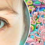 Găsiți fata printre flamingo în 8 secunde: acest puzzle vă va face capul să se învârtă. Găsiți fata printre flamingo în 8 secunde: acest puzzle vă