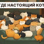Găsiți o pisică adevărată în 5 secunde: un test IQ foarte simplu Găsiți o pisică adevărată în 5 secunde: un test IQ