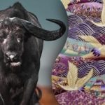 Găsiți taurul din imagine în 15 secunde: o ghicitoare pentru cei mai atenți oameni Găsiți taurul din imagine în 15 secunde: o ghicitoare pentru