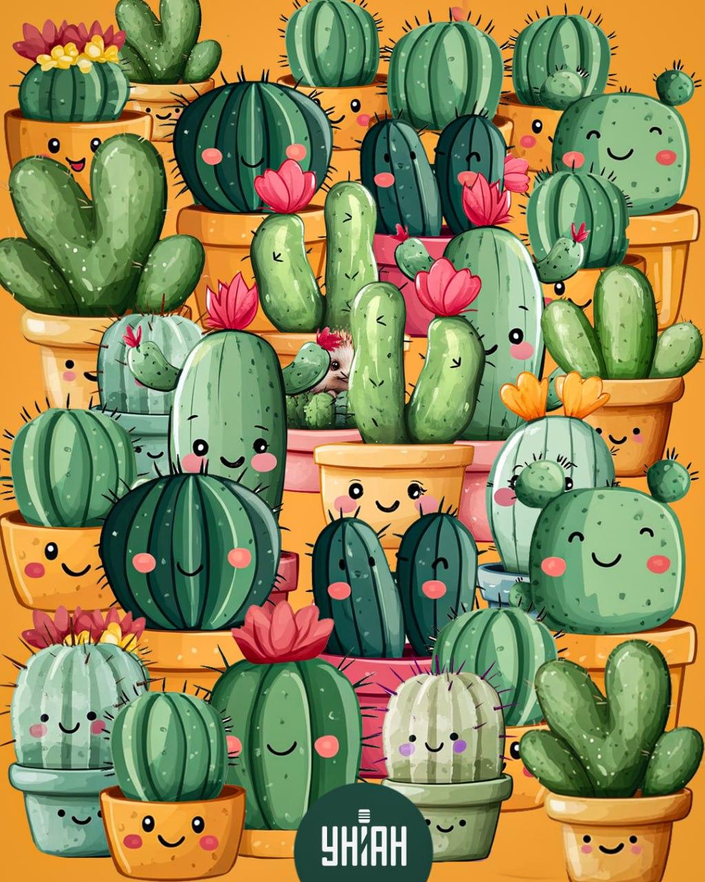 Moje colaj Colaj Moje