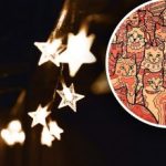 Iluzie optică pentru persoanele cu vedere de vultur: trebuie să găsiți o stea printre pisici Iluzie optică pentru persoanele cu vedere de vultur: trebuie să