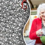 O ghicitoare de rezolvat în 9 secunde: unde este ascunsă