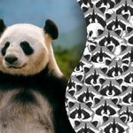 O iluzie pentru cei mai atenți: doar câțiva vor fi