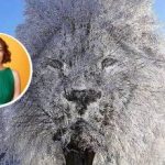 Persoană "închisă" sau "sociabilă": ce poate spune iluzia optică despre tine Persoană „închisă” sau „sociabilă”: ce poate spune iluzia optică despre