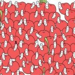 Puzzle pentru oamenii cu ochi de vultur: găsiți o cireașă fără vierme în 30 de secunde Puzzle pentru oamenii cu ochi de vultur: găsiți o cireașă