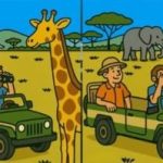 Super test IQ: găsiți 3 diferențe într-o imagine cu turiști în 41 de secunde Super test IQ: găsiți 3 diferențe într-o imagine cu turiști