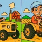 Test IQ: găsiți 3 diferențe în imagini cu șoferi de